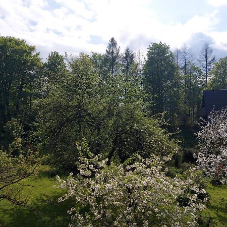 Apartament Bolek I Apartament Lolek Закопане Экстерьер фото